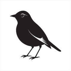 Obraz premium american robin silhouette black vector