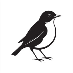 Obraz premium american robin silhouette black vector