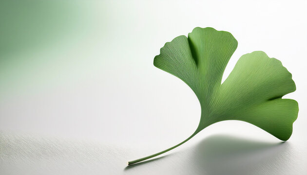Green ginkgo leaf Generated image
