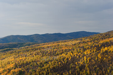 Hilly terrain in autumn. Mountain landscape.