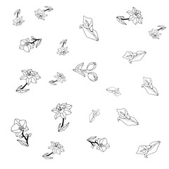 Flower Set Pattern Line Art 