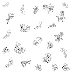 Flower Set Pattern Line Art 