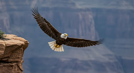 Naklejka premium Majestic Bald Eagle Soaring Over Grand Canyon Landscape