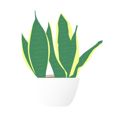 Indoor plant mockup for design purposes.Minimal cute little plant with pot and many leaves to be used as props and as display for plants isolated over white background.Eps10 model plant for home decor