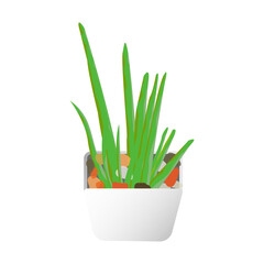An aloe plant vector model with colourful pebbles editable and ready to be used by illustrators and interior designers as plant props for their projects.Aloevera mockup design graphic element.