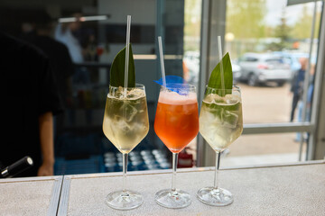 Experience Vibrant Cocktails at a Modern Bar Perfect Evening Delight Awaits You Here