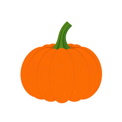 pumpkin with transparent background PNG and JPEG image