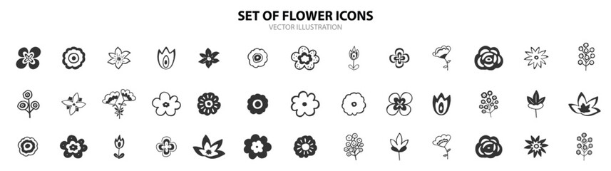 Set of flower vector. Vector botanical flowers black outline collection.
