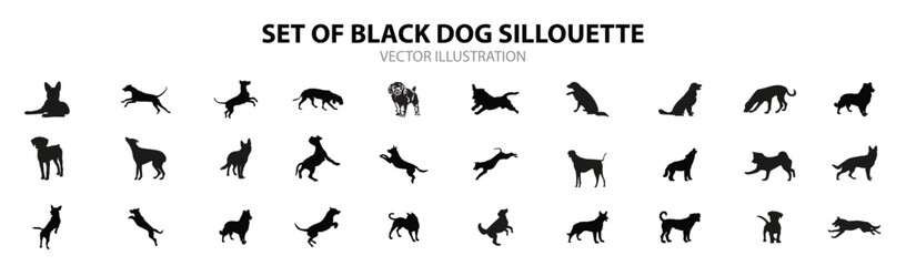 Set of dog, vector illustration