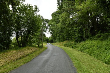 Fototapeta premium Route traversant un bois sous la bruine près du bourg de Champagne au Périgord Vert 