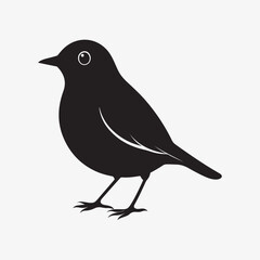 Obraz premium american robin silhouette black vector