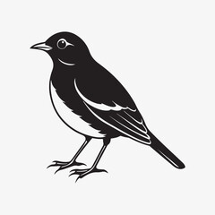 Obraz premium american robin silhouette black vector
