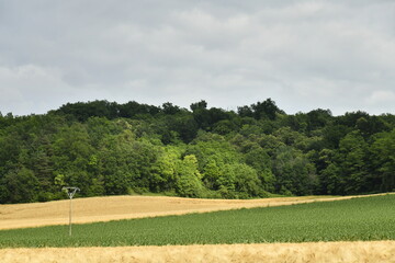 Champs de blé et d'autres cultures près d'une colline boisée sous un ciel gris près du bourg de Champagne au Périgord Vert  © Photocolorsteph