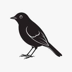 Obraz premium american robin silhouette black vector