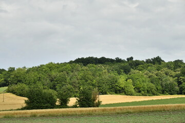 Champs de blé et d'autres cultures près d'une colline boisée sous un ciel gris près du bourg de Champagne au Périgord Vert  © Photocolorsteph