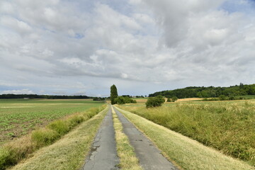 Route de campagne sous un ciel nuageux entre les bourgs de Champagnes et Vendoire au Périgord Vert 