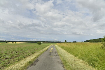 Fototapeta premium Route de campagne sous un ciel nuageux entre les bourgs de Champagnes et Vendoire au Périgord Vert 