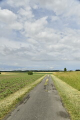 Route de campagne sous un ciel nuageux entre les bourgs de Champagnes et Vendoire au Périgord Vert 