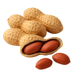 High-Quality Close-Up Image of Raw Peanuts in Shell and Kernel – Isolated on White Background for Food and Nutrition Concepts.