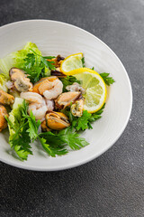 Salad seafood shrimp, mussels, squid, rapawn, prawn, green mixed leaf dish fresh food background on the table rustic food top view copy space 
