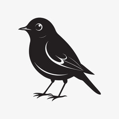 Obraz premium american robin silhouette black vector