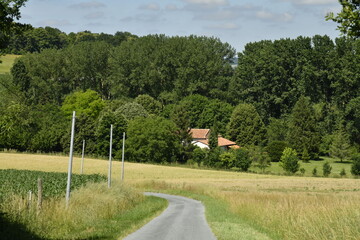 Route de campagne vers une forêt près du bourg de Champagne au Périgord Vert 