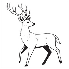 Deer Vector 