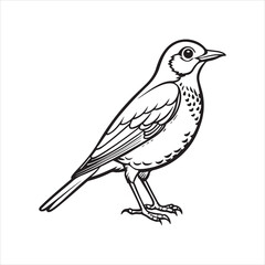 american robin silhouette black vector