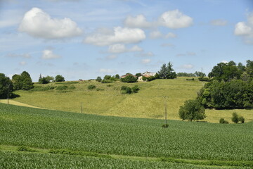 Cumulus de beau temps sur les collines et champs de maïs près du bourg de Vendoire au Périgord Vert  © Photocolorsteph