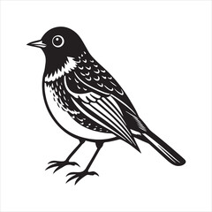 Obraz premium american robin silhouette black vector