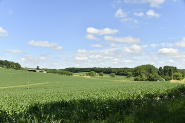 Cumulus de beau temps sur les collines et champs de maïs près du bourg de Vendoire au Périgord Vert  © Photocolorsteph
