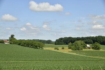Cumulus de beau temps sur les collines et champs de maïs près du bourg de Vendoire au Périgord Vert 