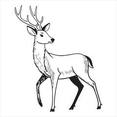 Deer Vector 