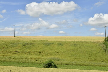 Cumulus de beau temps au dessus des champs et prairies près du bourg de Vendoire au Périgord Vert  © Photocolorsteph