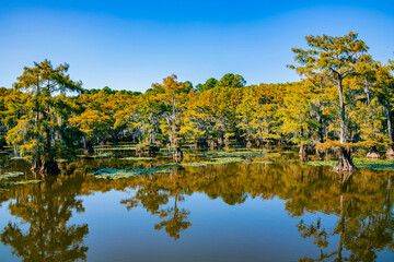 Caddo Lake State Park