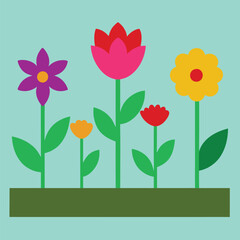 Flower bed with 4 types of flowers. 