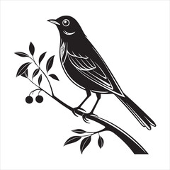 Obraz premium american robin silhouette black vector