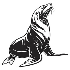Sea lion vector illustration black and white marine mammal aquatic animal wildlife ocean creature seal drawing art 100 isolated on transparent background