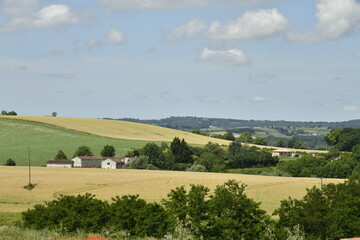 Champs de blé sur les collines aux environs du bourg de Vendoire au Périgord Vert  © Photocolorsteph