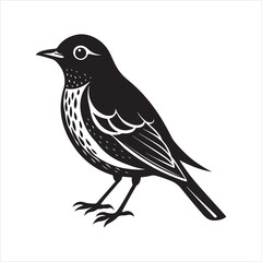 american robin silhouette black vector