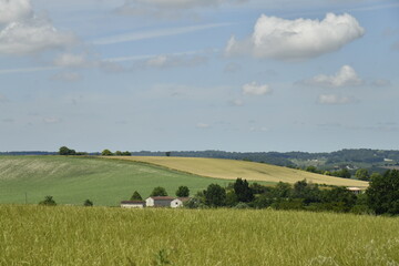 Champs de bl&eacute; sur les collines aux environs du bourg de Vendoire au P&eacute;rigord Vert 