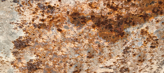 Rust on the iron door for the background. old peeling paint on rusty gates.