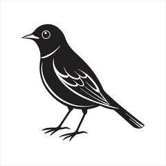 Obraz premium american robin silhouette black vector