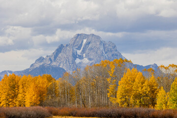Scenic Autumn Landscape in Grand Teton National Park Wyoming