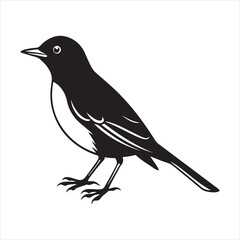 Obraz premium american robin silhouette black vector