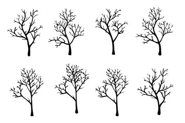 Winter Bare Tree,  Silhouette Isolated on White Background

