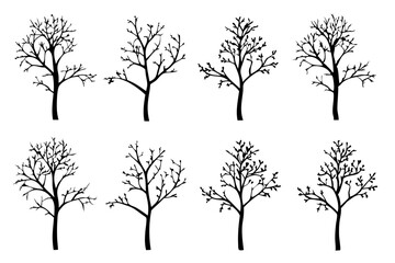 Obraz premium Leafless Black Bare Tree Outline Silhouette vector Illustration