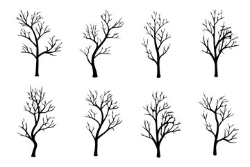 Obraz premium Winter Bare Tree, Silhouette Isolated on White Background