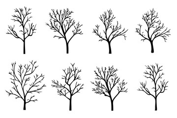 Obraz premium Bare Tree Silhouette on White Background