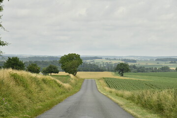 Route de campagne sous un ciel gris près entre Villebois-Lavalette en Charente et le bourg de...
